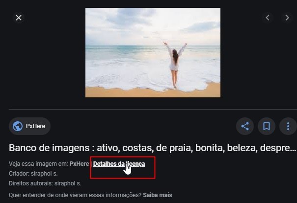 Os detalhes de uma licença.