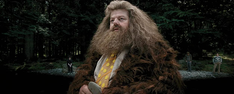 Robbie Coltrane como Rubeus Hagrid.