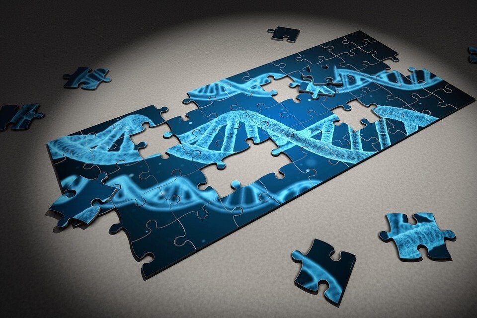 Cientistas dizem ter encontrado as peças que faltavam no quebra-cabeça do nosso genoma.
