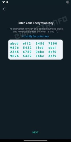 A chave hexadecimal ajudará a manter os backups protegidos dos acessos de terceiros.