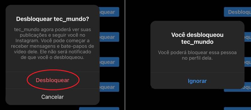 Depois de desbloquear o perfil, você poderá voltar a interagir com ele
