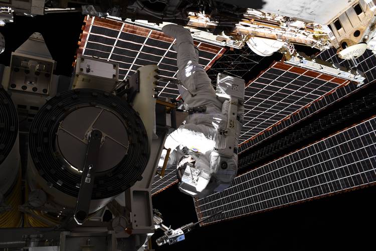 Astronauta compartilhou cliques de caminhada espacial.