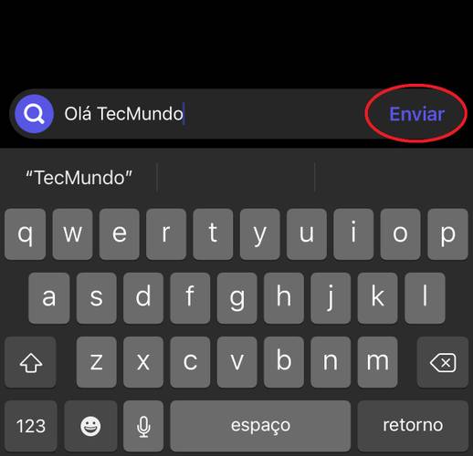 Digite o texto que deseja mandar para o perfil selecionado, depois aperte no botão 