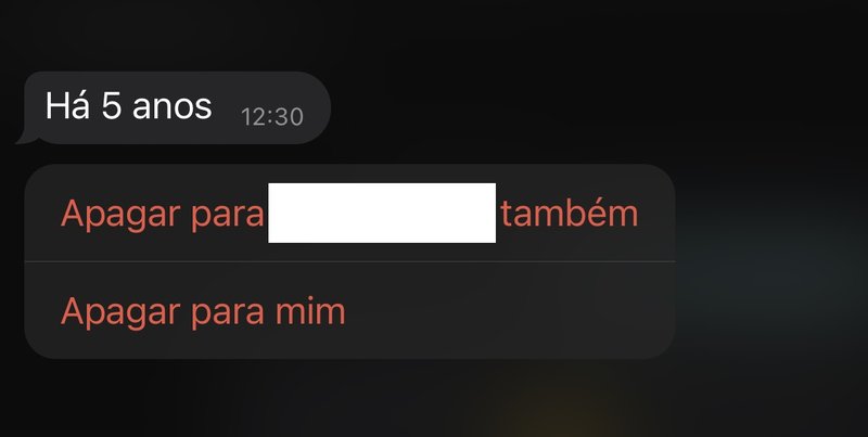 Escolhe entre apagar a mensagem apenas para você ou também para o seu contato ou grupo