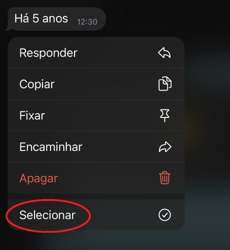 Depois de pressionar o dedo em cima de uma mensagem, aperte na opção 