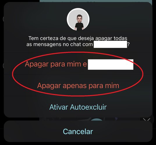 Escolha se o chat todo será excluído apenas para você, ou também para o seu contato ou grupo que administra