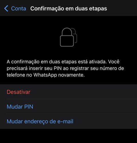 Depois de configurar o PIN e o e-mail, essa tela mostrará que a verificação em duas esta