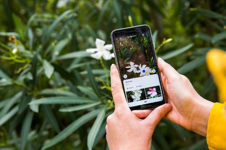 O Google Lens pode realizar pesquisas a partir da foto de um item.