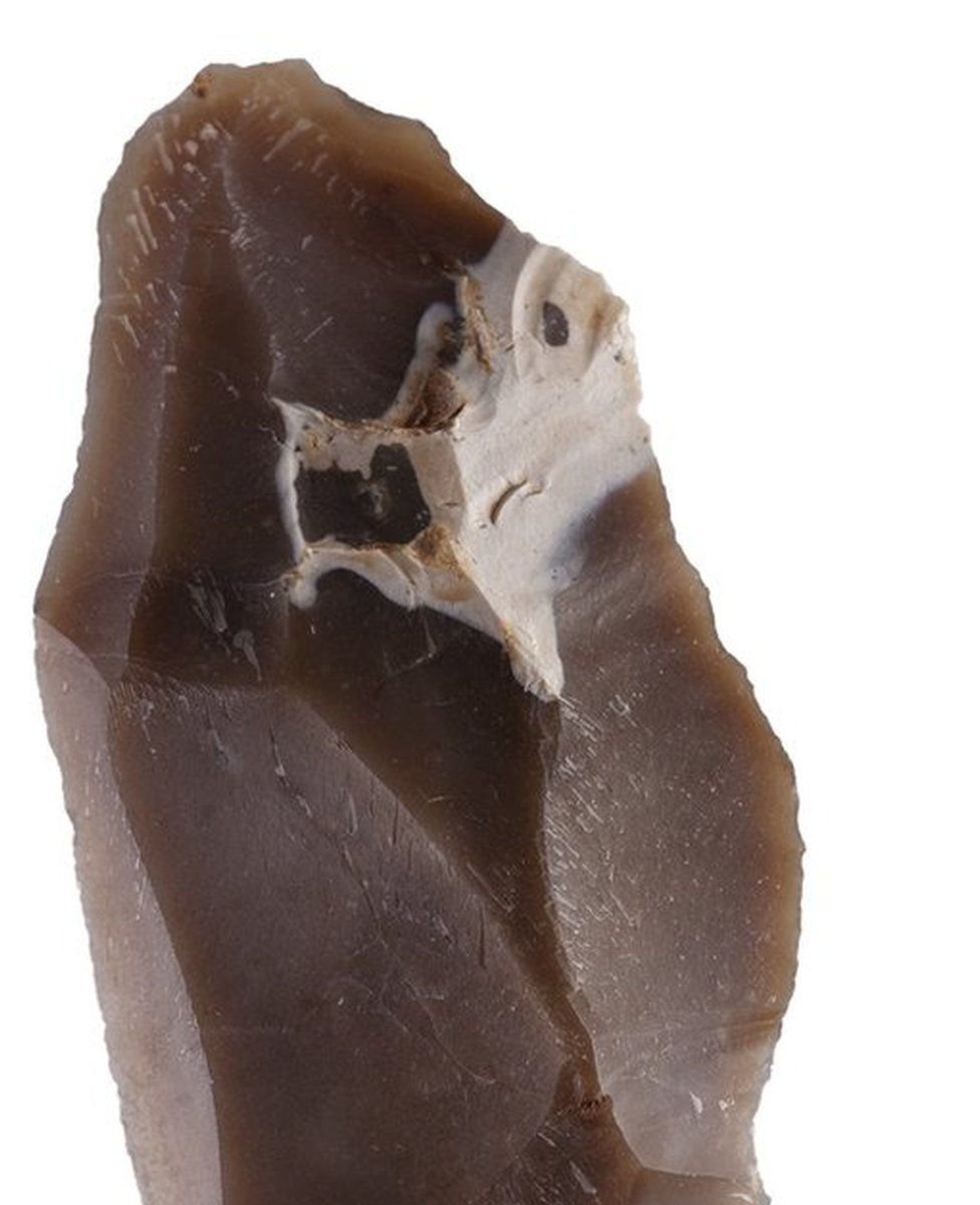 Uma das ferramentas feitas de pedra utilizadas pelo Homo de Nesher Ramla
