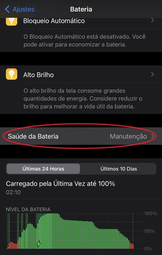 Além da opção de visualizar a saúde da sua bateria, há uma série de dados sobre o atual status dela