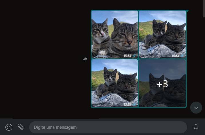 Vá até a conversa onde deseja baixar os arquivos