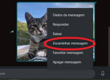 Selecione a opção 