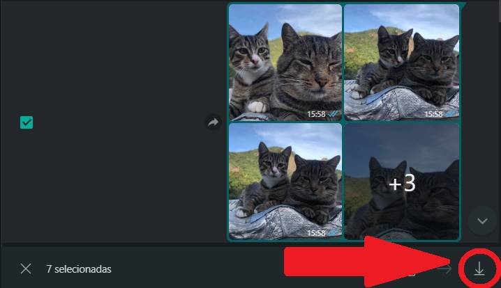 Selecione no símbolo de baixar para fazer o download dos arquivos selecionados
