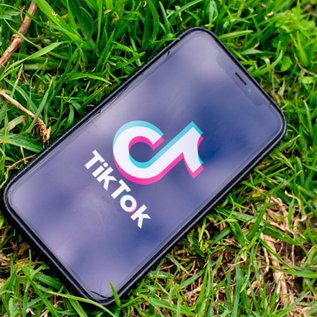 Imagem de TikTok dispara em uso no Brasil e Roblox domina games em 2020