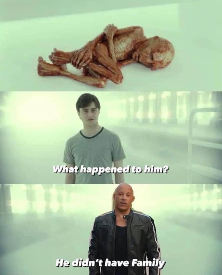 Será que Voldemort teria vencido Harry Potter se ele tivesse uma família?