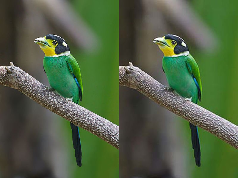 Na esquerda, a imagem codificada sem perdas ("lossless"); na direita, a representação com perdas ("lossy"). (Fonte: PEDIAA / Reprodução)