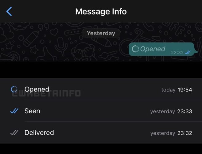 Usuário será notificado de que a foto foi vista no WhatsApp para iOS