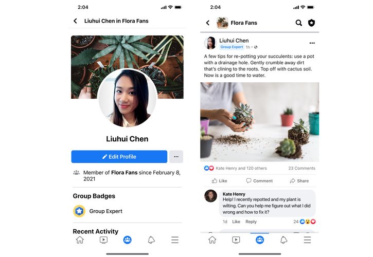 Status de "especialista" significa que o membro tem a confiança dos administradores do grupo. (Fonte: Facebook/Reprodução)