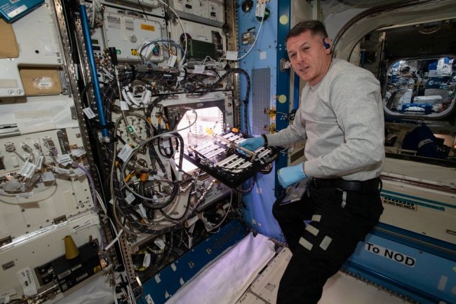 O astronauta Shane Kimbrough insere o dispositivo com as sementes no APH.