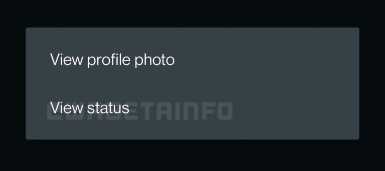 Pop-up exibido após tocar na imagem de perfil dos usuários na nova versão beta do WhatsApp. (Fonte: WABeta Info, WhatsApp / Reprodução)