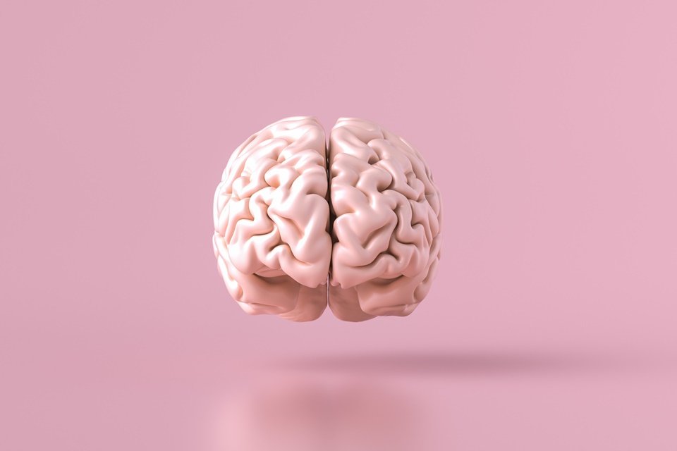 33 ideias de NeuroCiencia  teste de qi, teste de inteligência