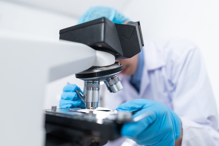 A produção científica médica no Brasil cresceu 24,6% em 2020 (Fonte: Pexels)