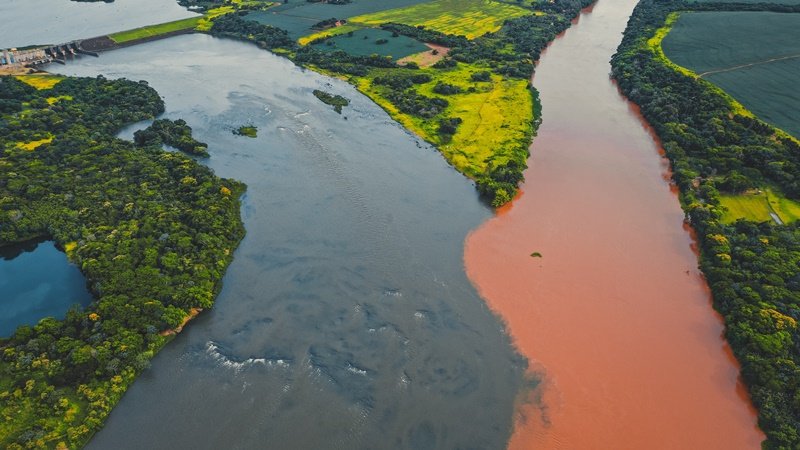 Essa poluição traz riscos para a diversidade e vida dos animais do rio amazônico (Fonte: Pexels)