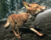 Skyrim: desenvolvedor explica mito da raposa perseguindo tesouros