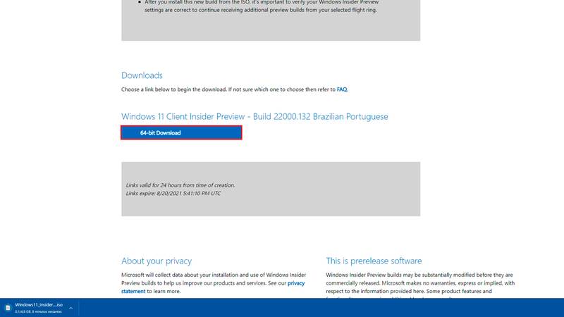 Windows 11 Iso