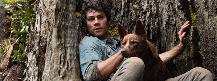 Imagem de: Dylan O'Brien: ator de Teen Wolf surpreende fãs com novo visual; veja!