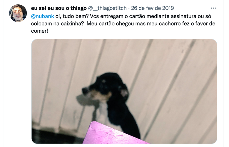 Não tem como brigar com essa cara de culpado