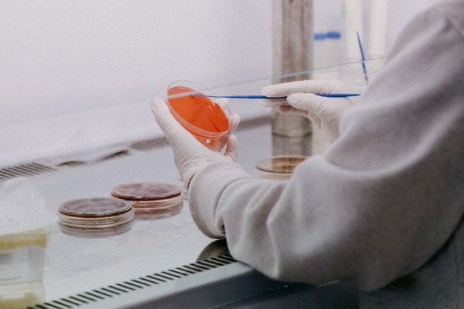 Do total de variantes, três foram registradas pela primeira vez