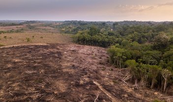 Dia da Amazônia: previsões para o futuro são dramáticas, diz biólogo 