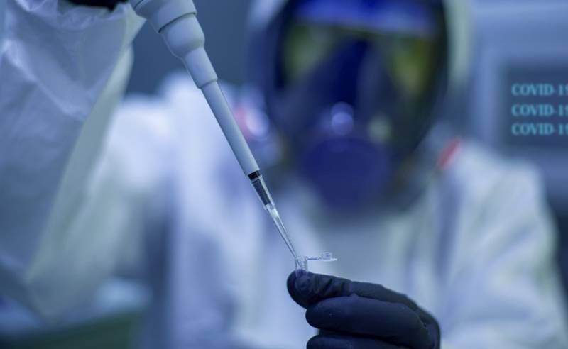 A fabricação das vacinas pode ser ampliada com o cultivo de plantas ou bactérias