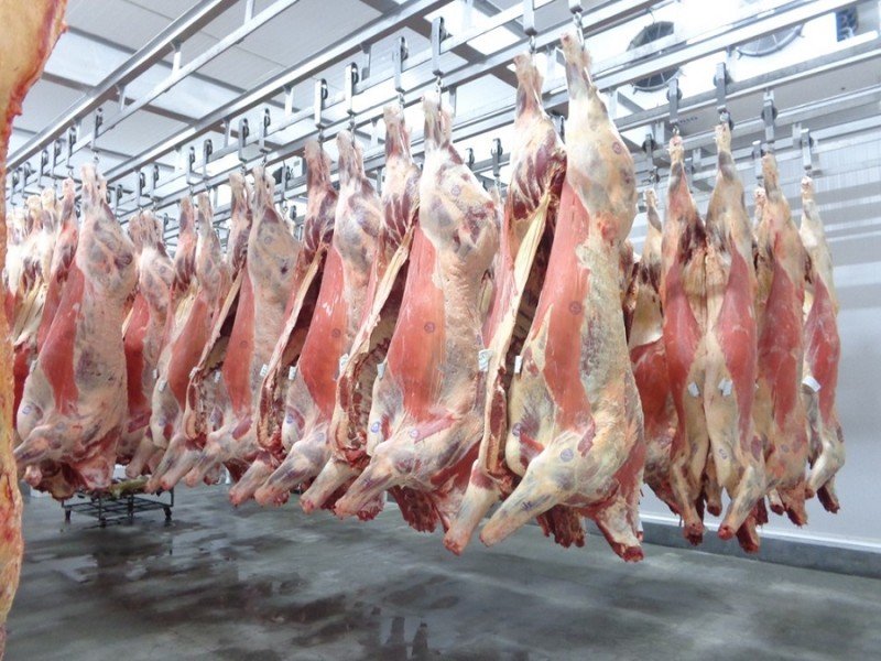O Brasil é o maior exportador mundial de carne bovina (Fonte: Dipoa/SEAPDR/Reprodução)