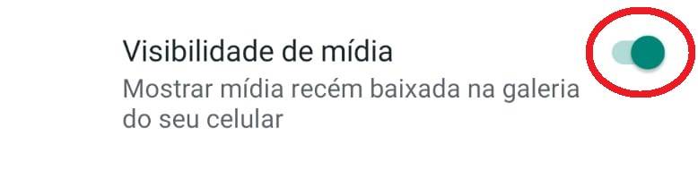 Caso você tenha desabilitado essa opção, as mídias não serão salvas automaticamente em seu Android