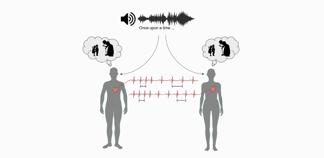 Gráfico do estudo demostra a sincronicidade de batidas do coração entre indivíduos que ouvem a mesma história.