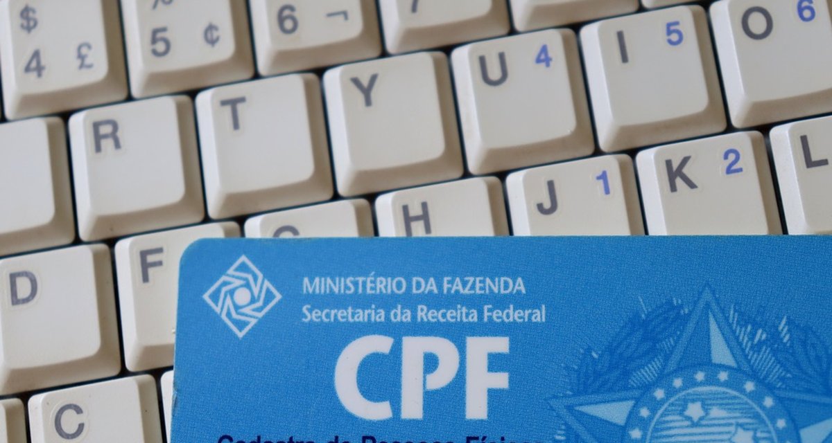 Site expõe 109 milhões de CPFs, CNPJs, placas de veículos e mais