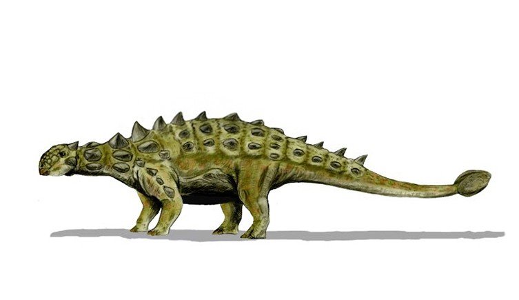 Novo dinossauro português com 130 milhões de anos descoberto no Cabo  Espichel - Renascença