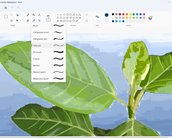 Novo Paint é liberado para testes no Windows 11
