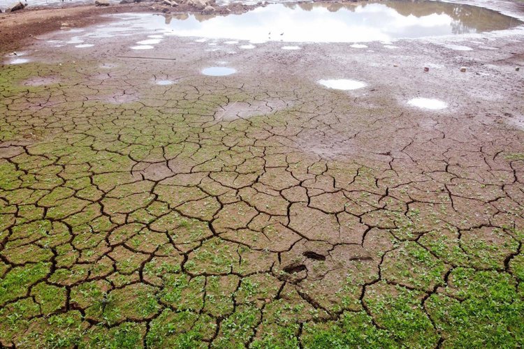 Sistema Nacional de Meteorologia gerou alerta para crise hídrica (Fonte: AEN/Geraldo Bubniak/Reprodução)