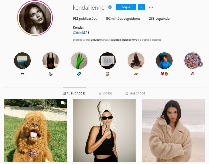 O perfil de Jenner, um dos mais indicados a gerar efeitos negativos na rede social.