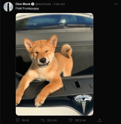 Musk publicou foto de um cão da raça Shiba inu no capô de um Tesla.