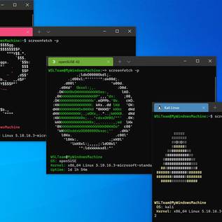 Imagem de Microsoft traz subsistema Linux WSL para a loja do Windows 11