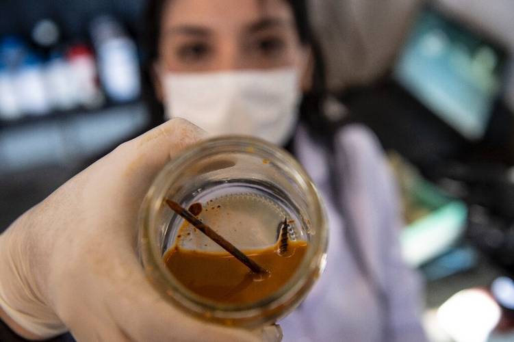 Fonte: Rudanac Biotec/Reprodução