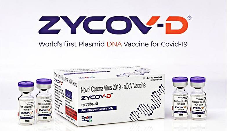 Imunizantes de DNa são mais fáceis e baratos de produzir e não demandam condições especiais de armazenamento. (Fonte: Zydus Cadila/Divulgação)
