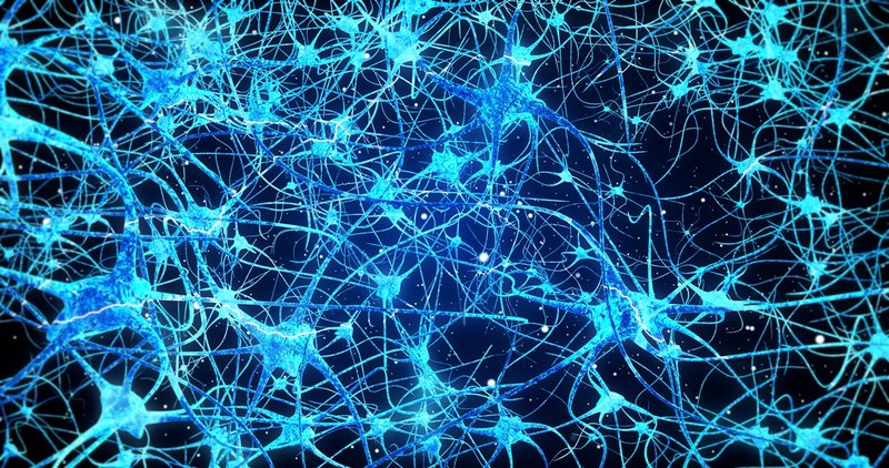 Neuronios