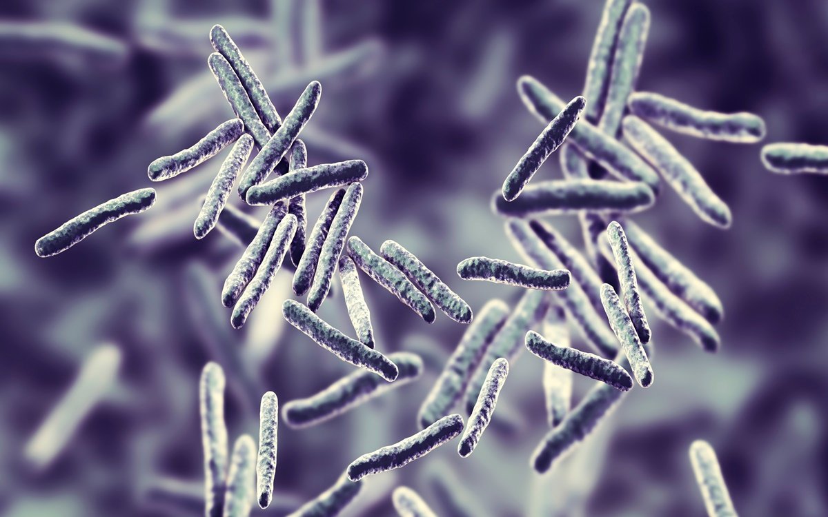 Ilustração mostra as bactérias Mycobacterium tuberculosis, principais causadoras da tuberculose; a doença é transmitida pelas vias respiratórias