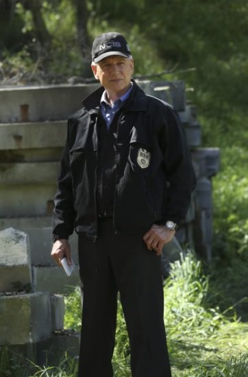 Mark Harmon deixou a série NCIS na 19ª temporada