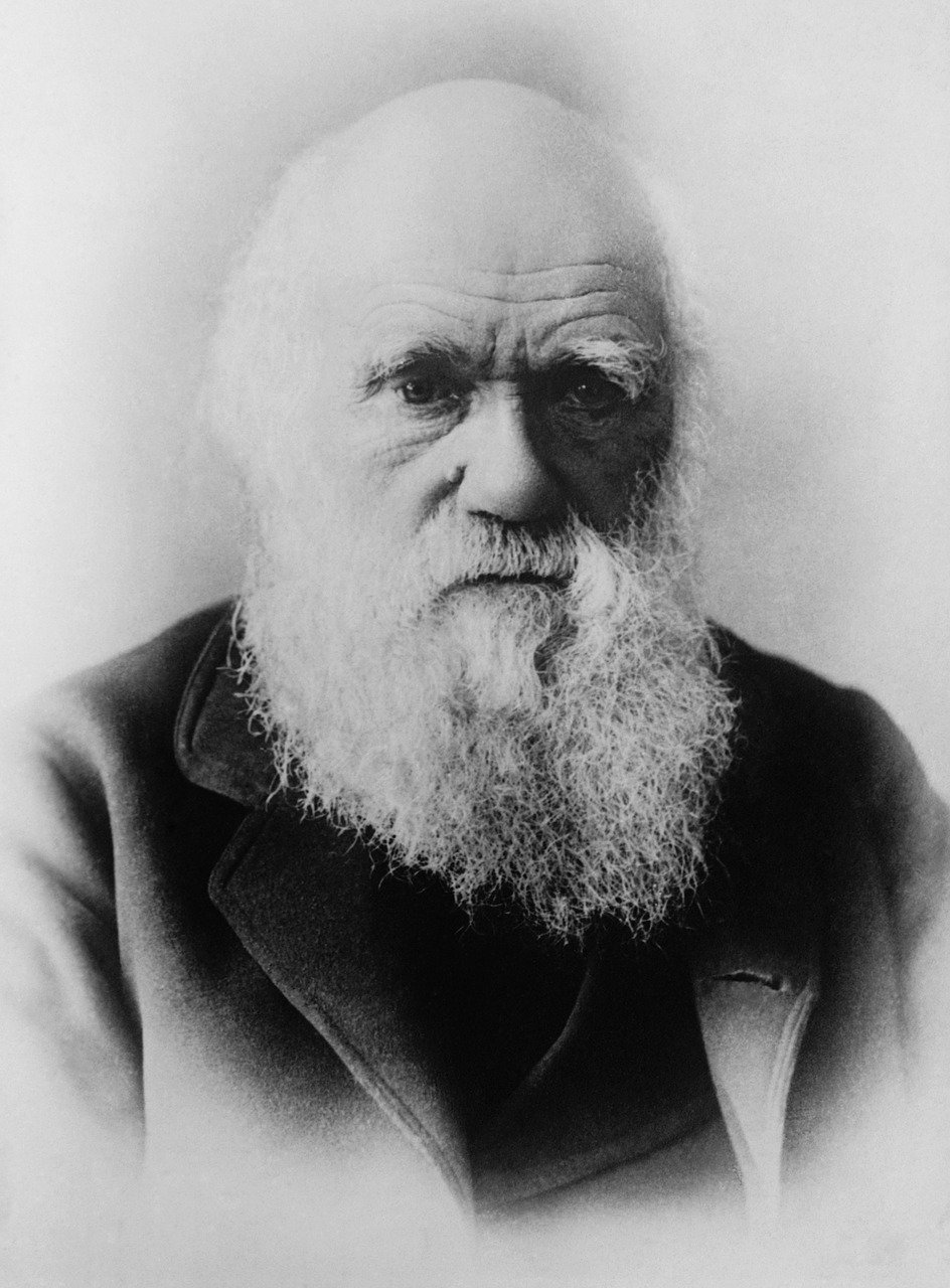 A teoria de Charles Darwin atualmente é mais aceita como a melhor explicação disponível de como a vida se desenvolve no planeta (Fonte: Pixabay/WikiImages/Reprodução)